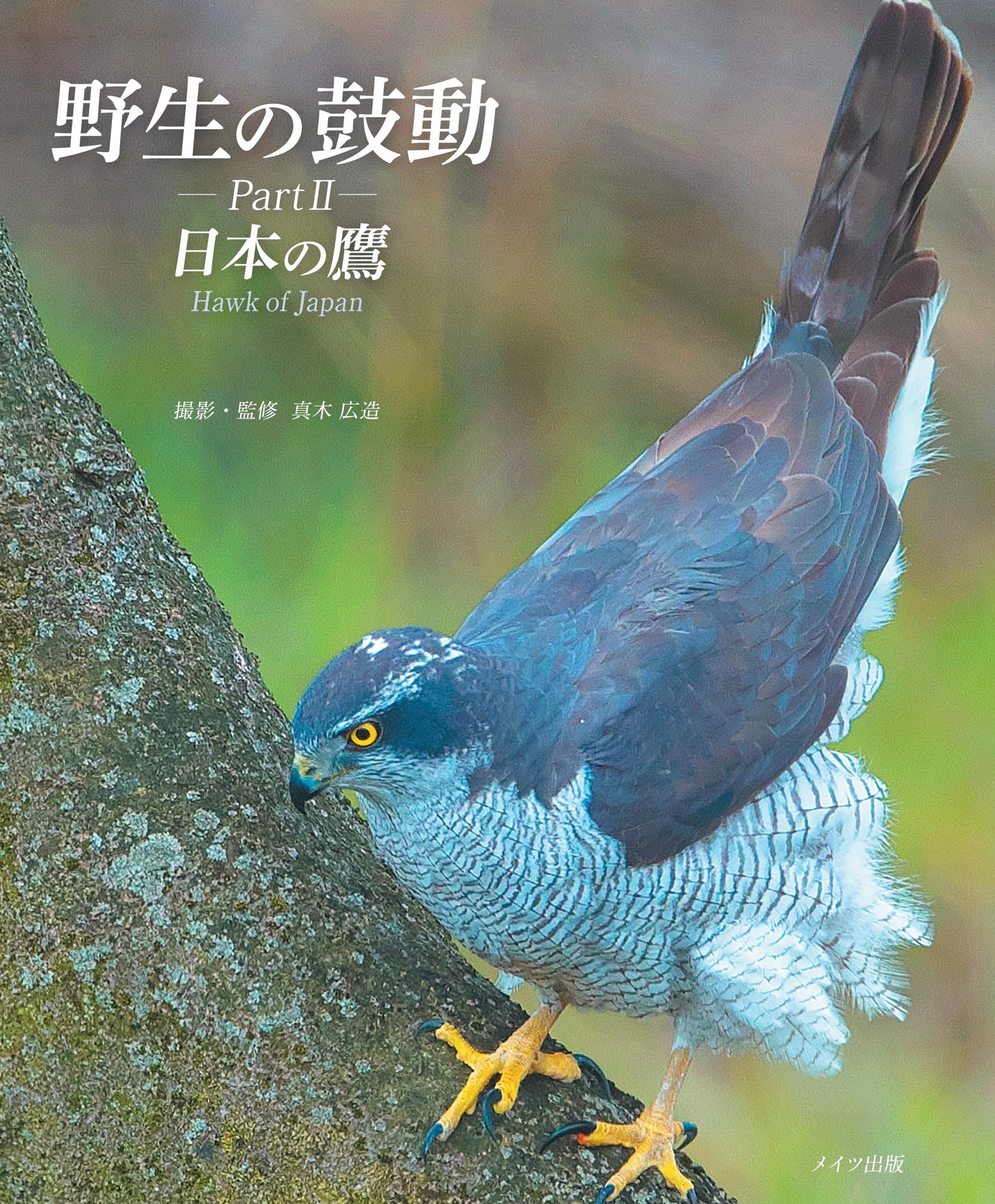 野生の鼓動 PartⅡ 日本の鷹 | 真木 広造 |本 | 通販 | Amazon